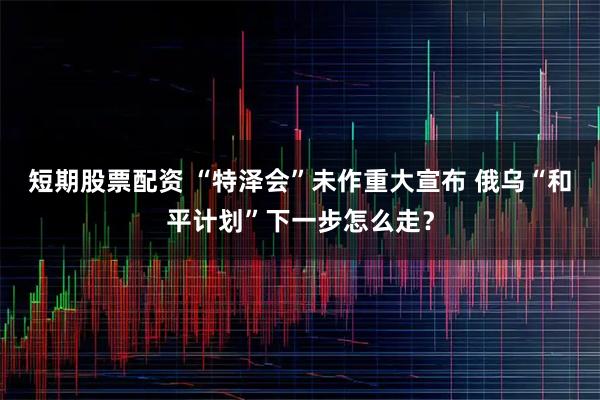 短期股票配资 “特泽会”未作重大宣布 俄乌“和平计划”下一步怎么走？