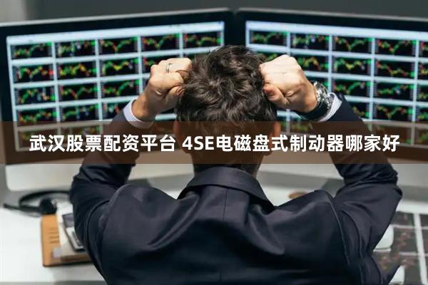 武汉股票配资平台 4SE电磁盘式制动器哪家好