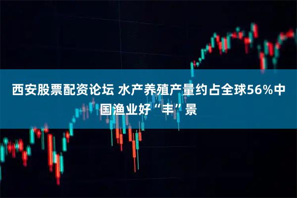 西安股票配资论坛 水产养殖产量约占全球56%中国渔业好“丰”景